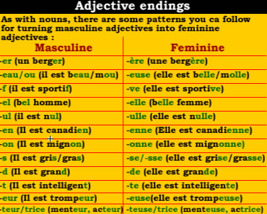 Adjective endings in french