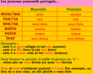 Pronoms possessifs portugais
