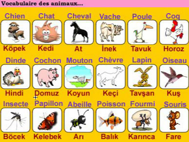 Vocabulaire des animaux en turc